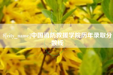 赣州中国消防救援学院历年录取分数线