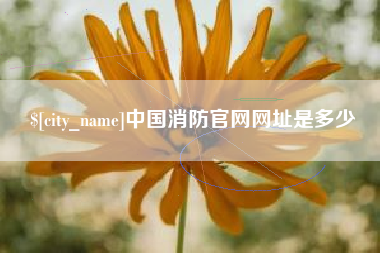 赣州中国消防官网网址是多少