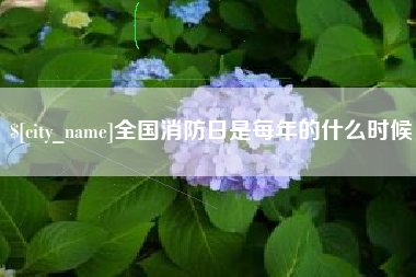 赣州全国消防日是每年的什么时候