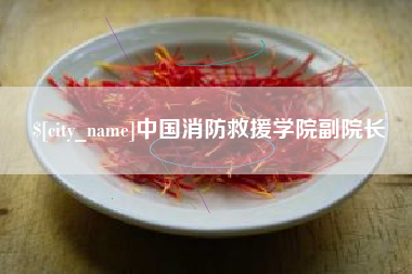 赣州中国消防救援学院副院长