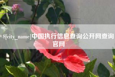 赣州中国执行信息查询公开网查询官网