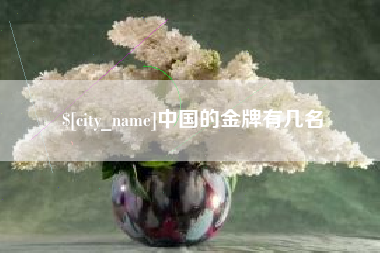 赣州中国的金牌有几名