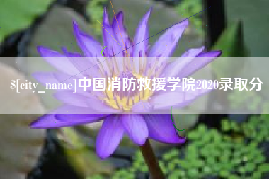 赣州中国消防救援学院2020录取分