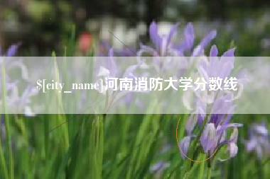 赣州河南消防大学分数线