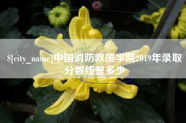 赣州中国消防救援学院2019年录取分数线是多少