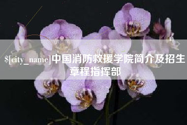 赣州中国消防救援学院简介及招生章程指挥部