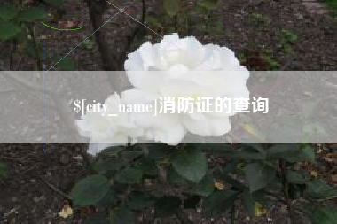 赣州消防证的查询