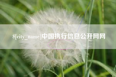 赣州中国执行信息公开网网