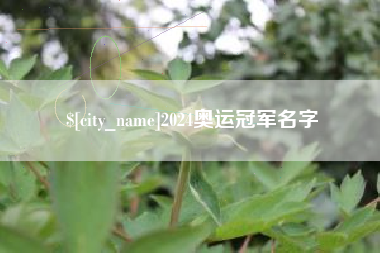 赣州2024奥运冠军名字
