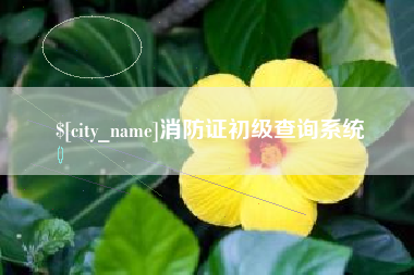 赣州消防证初级查询系统