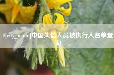 赣州中国失信人员被执行人名单查询
