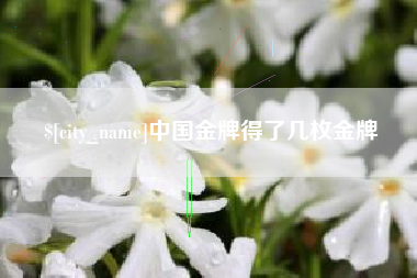 赣州中国金牌得了几枚金牌