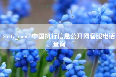 赣州中国执行信息公开网客服电话查询