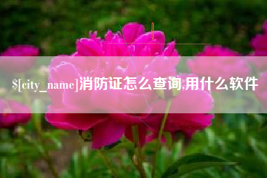 赣州消防证怎么查询,用什么软件