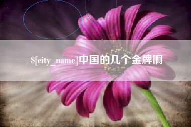 赣州中国的几个金牌啊