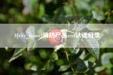 赣州消防产品cccf认证目录