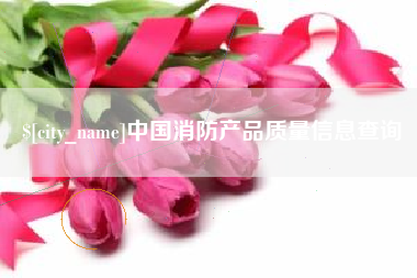赣州中国消防产品质量信息查询