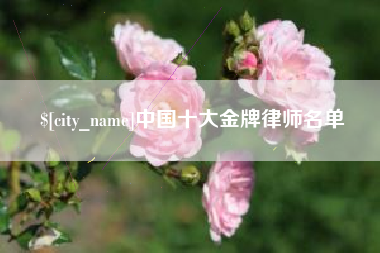 赣州中国十大金牌律师名单