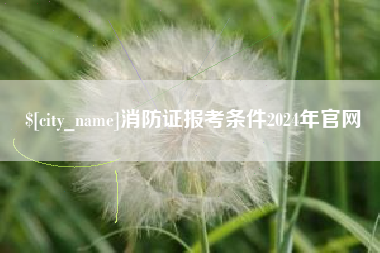 赣州消防证报考条件2024年官网