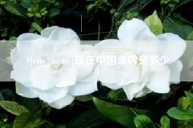 赣州现在中国金牌是多少