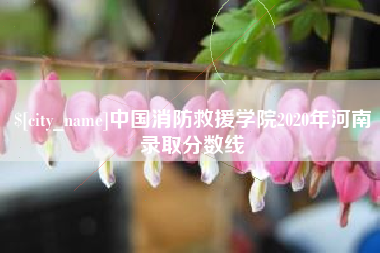 赣州中国消防救援学院2020年河南录取分数线
