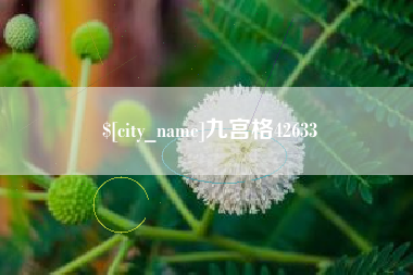 赣州九宫格42633