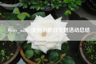 赣州全国消防日主题活动总结
