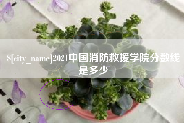 赣州2021中国消防救援学院分数线是多少
