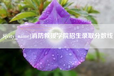 赣州消防救援学院招生录取分数线