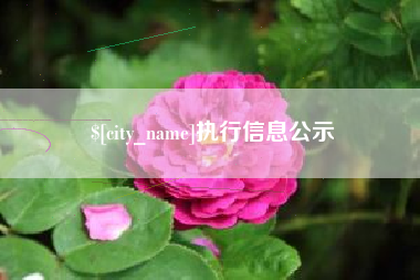 赣州执行信息公示