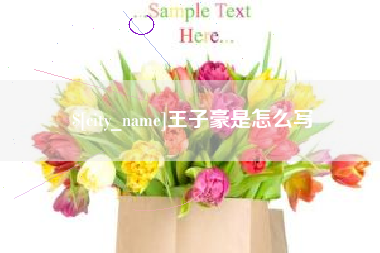赣州王子豪是怎么写
