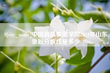 赣州中国消防救援学院2021年山东录取分数线是多少
