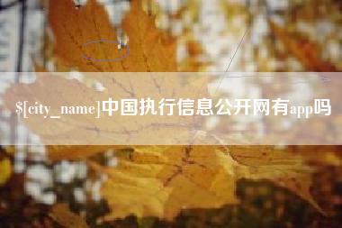 赣州中国执行信息公开网有app吗