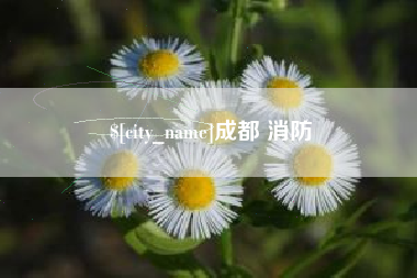 赣州成都 消防