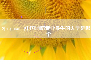 赣州中国消防专业最牛的大学是哪一个
