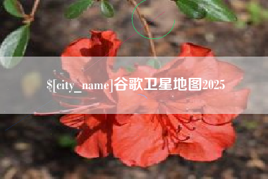 赣州谷歌卫星地图2025