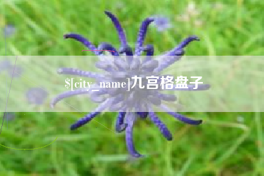 赣州九宫格盘子