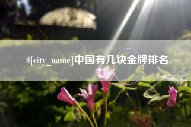 赣州中国有几块金牌排名