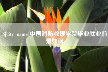 赣州中国消防救援学院毕业就业前景如何