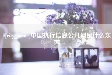 赣州中国执行信息公开网是什么东西