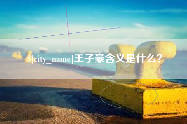 赣州王子豪含义是什么？