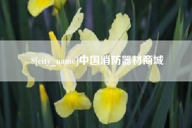 赣州中国消防器材商城