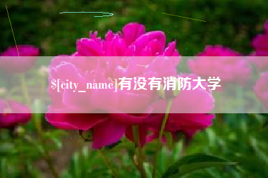 赣州有没有消防大学