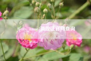 赣州消控证官网查询