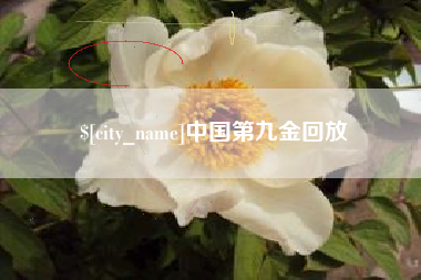 赣州中国第九金回放