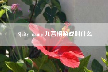 赣州九宫格游戏叫什么
