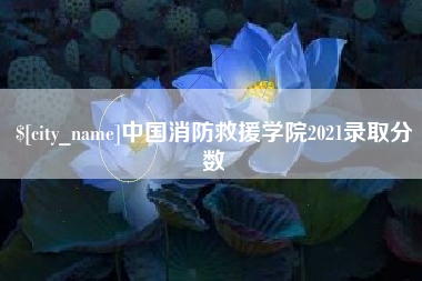 赣州中国消防救援学院2021录取分数