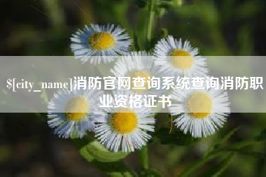 赣州消防官网查询系统查询消防职业资格证书