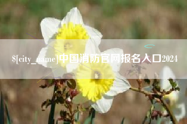 赣州中国消防官网报名入口2024