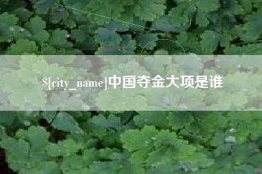 赣州中国夺金大项是谁